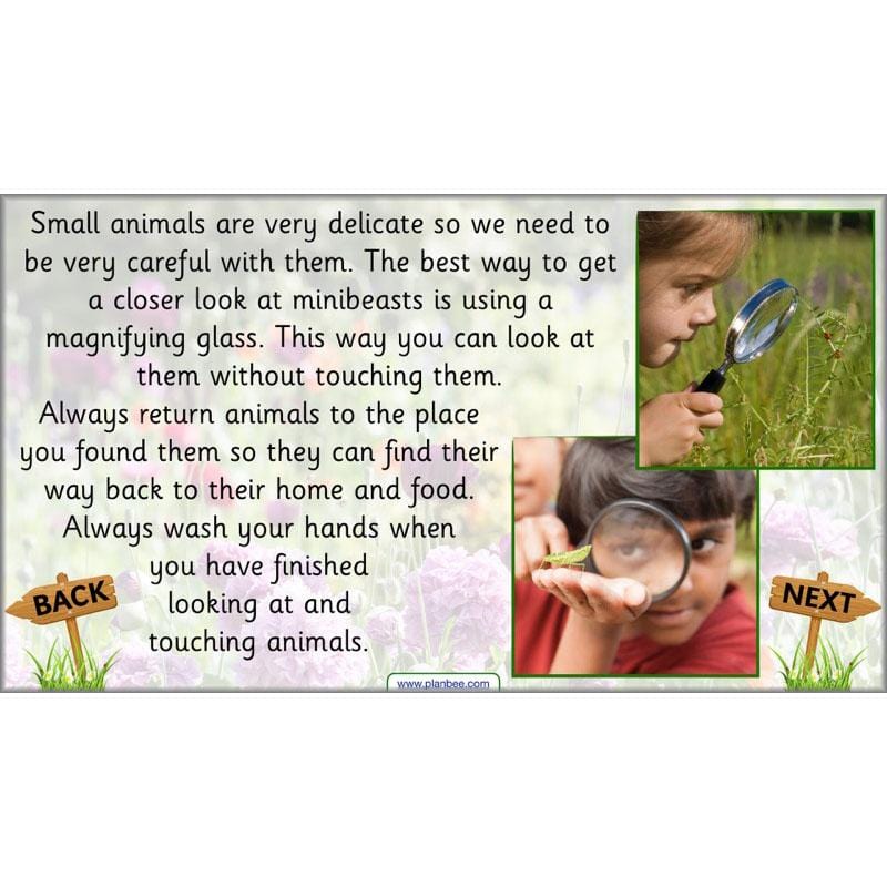 PlanBee Pets and Gardens Year 1 Science Lesson Plans by PlanBee