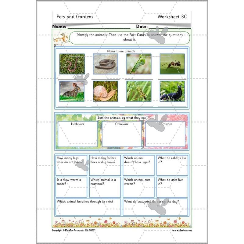 PlanBee Pets and Gardens Year 1 Science Lesson Plans by PlanBee