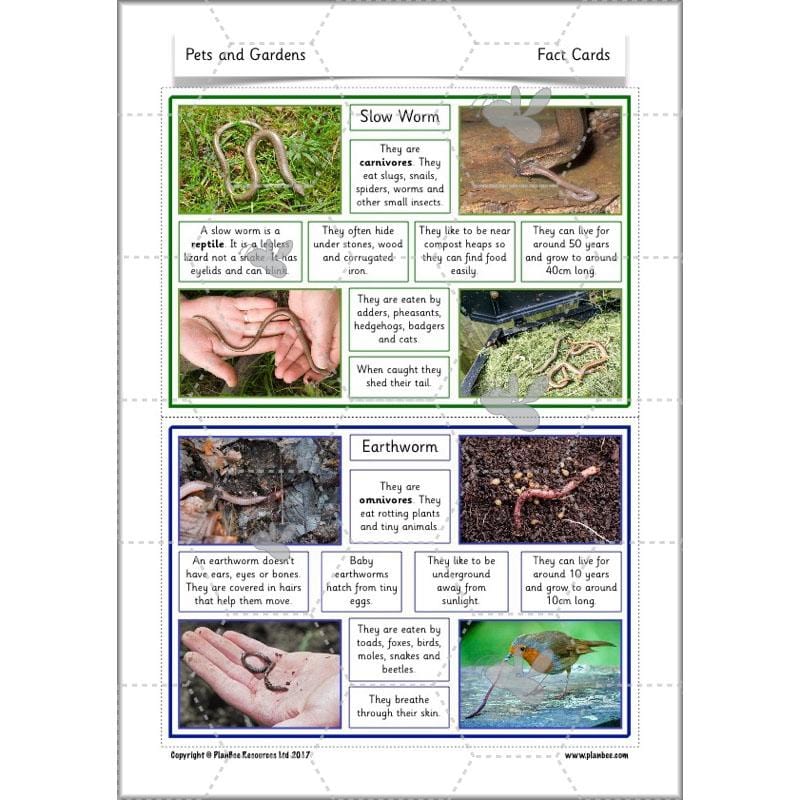 PlanBee Pets and Gardens Year 1 Science Lesson Plans by PlanBee