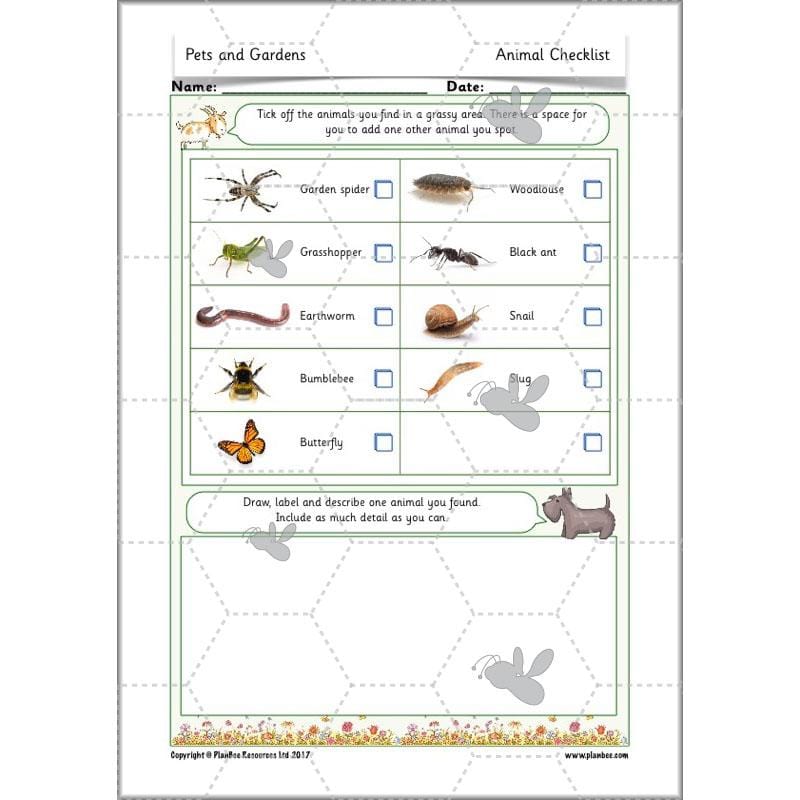 PlanBee Pets and Gardens Year 1 Science Lesson Plans by PlanBee