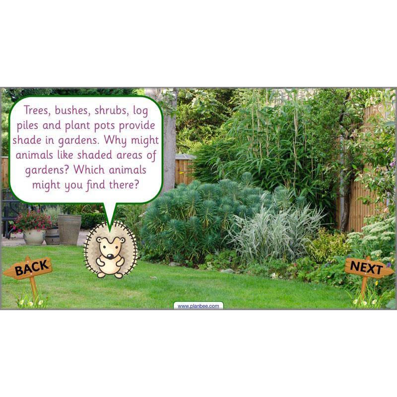 PlanBee Pets and Gardens Year 1 Science Lesson Plans by PlanBee