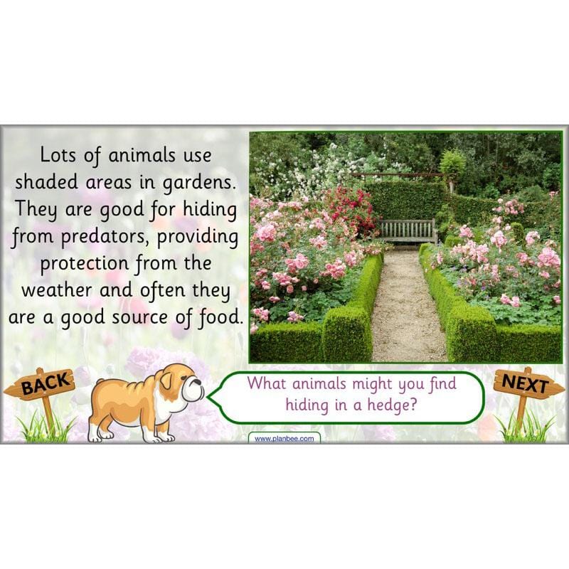PlanBee Pets and Gardens Year 1 Science Lesson Plans by PlanBee