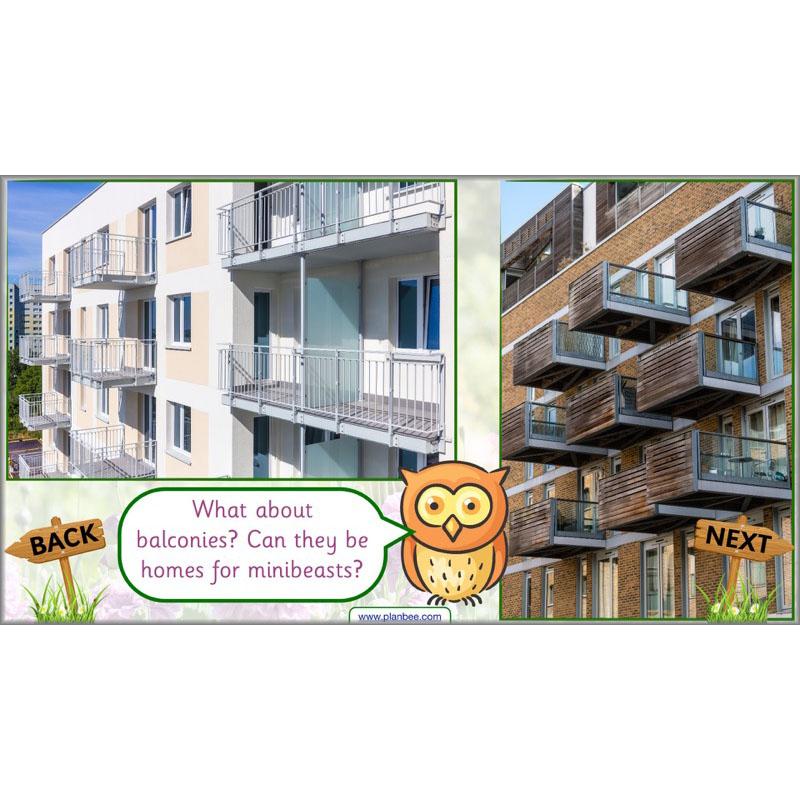 PlanBee Pets and Gardens Year 1 Science Lesson Plans by PlanBee