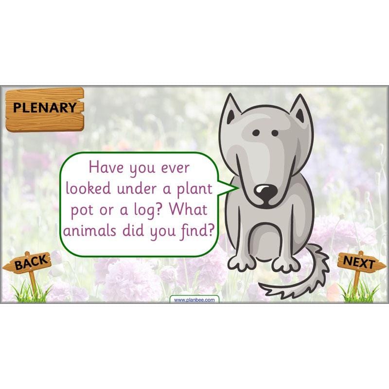 PlanBee Pets and Gardens Year 1 Science Lesson Plans by PlanBee