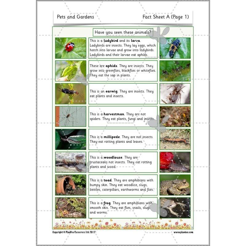 PlanBee Pets and Gardens Year 1 Science Lesson Plans by PlanBee