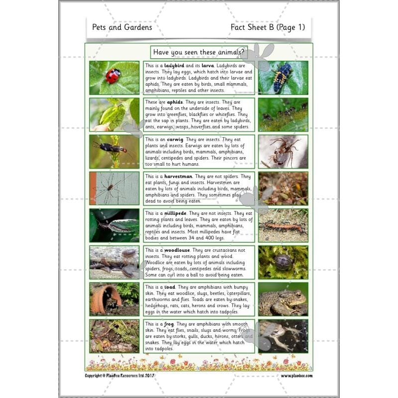 PlanBee Pets and Gardens Year 1 Science Lesson Plans by PlanBee