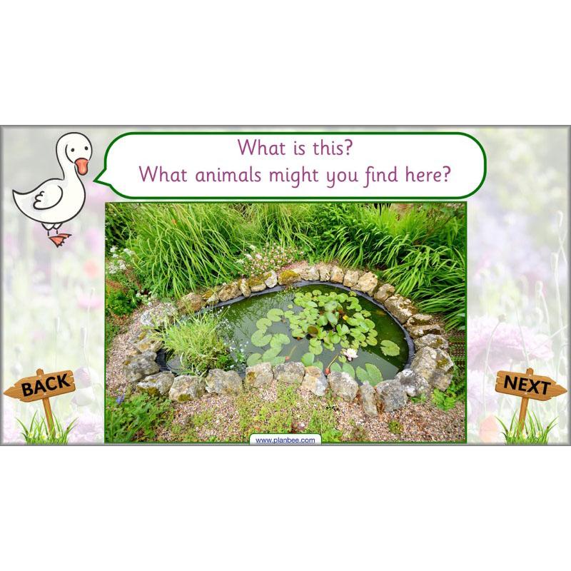 PlanBee Pets and Gardens Year 1 Science Lesson Plans by PlanBee