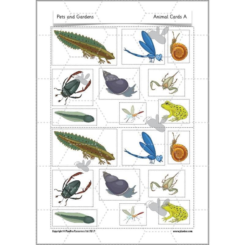 PlanBee Pets and Gardens Year 1 Science Lesson Plans by PlanBee