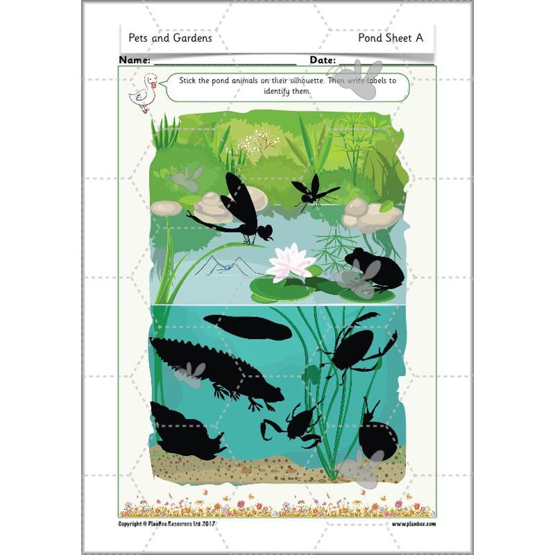 PlanBee Pets and Gardens Year 1 Science Lesson Plans by PlanBee