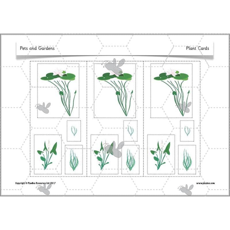 PlanBee Pets and Gardens Year 1 Science Lesson Plans by PlanBee
