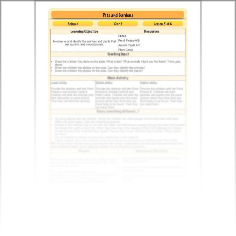 PlanBee Pets and Gardens Year 1 Science Lesson Plans by PlanBee
