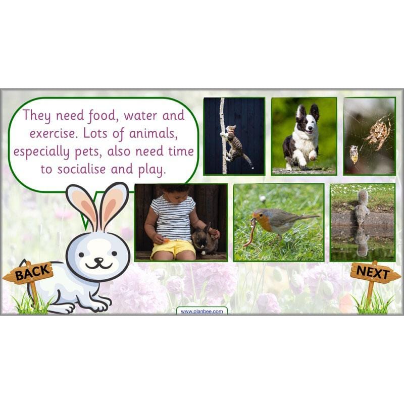 PlanBee Pets and Gardens Year 1 Science Lesson Plans by PlanBee