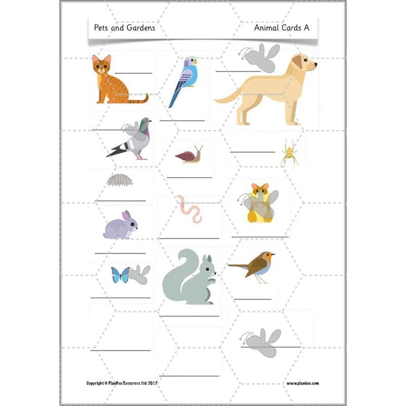 PlanBee Pets and Gardens Year 1 Science Lesson Plans by PlanBee