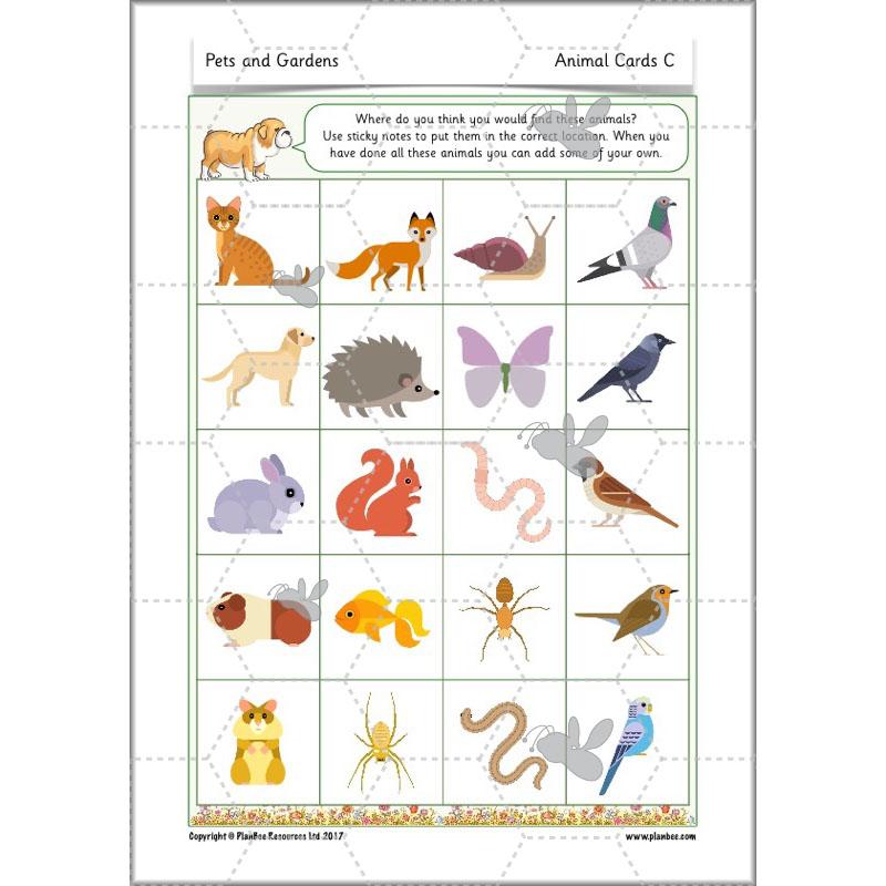 PlanBee Pets and Gardens Year 1 Science Lesson Plans by PlanBee