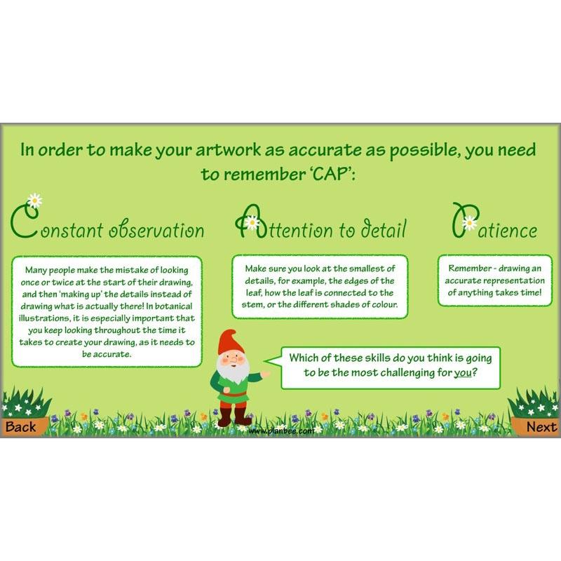 PlanBee Plant Art Lessons Year 3 & Year 4 PlanBee Art scheme of work