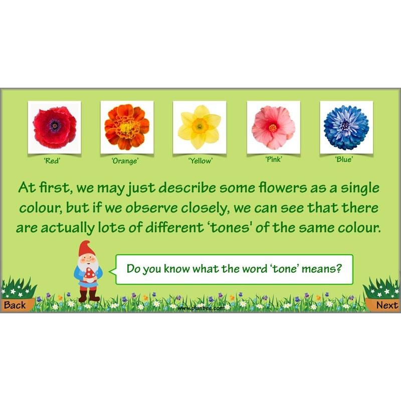 PlanBee Plant Art Lessons Year 3 & Year 4 PlanBee Art scheme of work