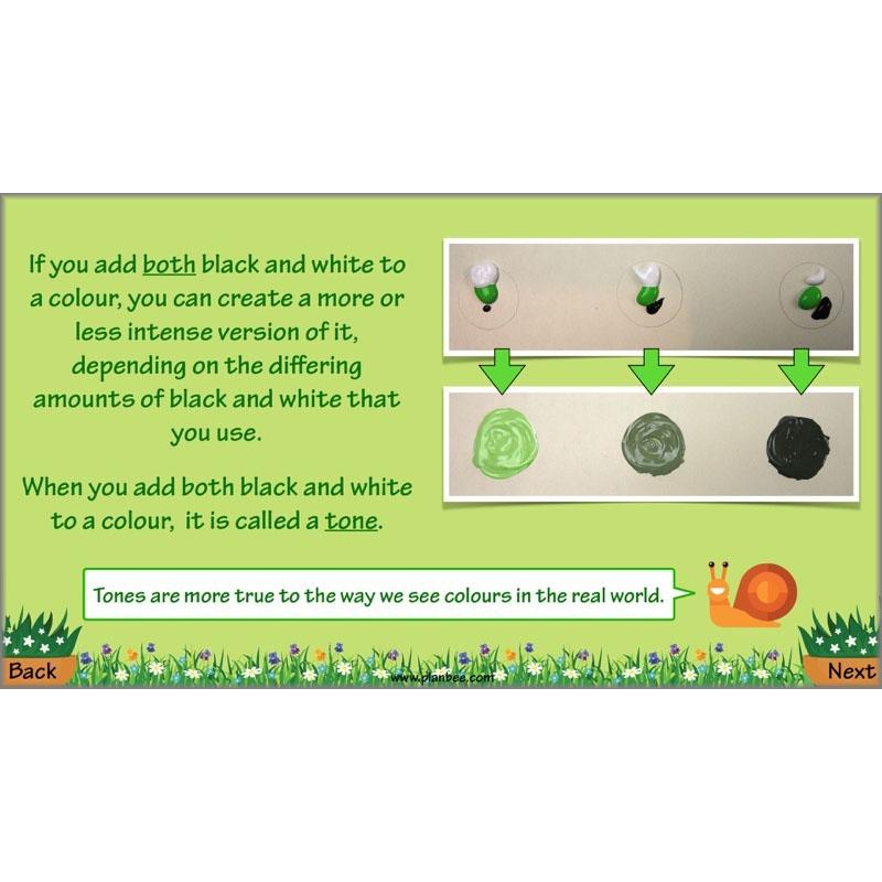 PlanBee Plant Art Lessons Year 3 & Year 4 PlanBee Art scheme of work