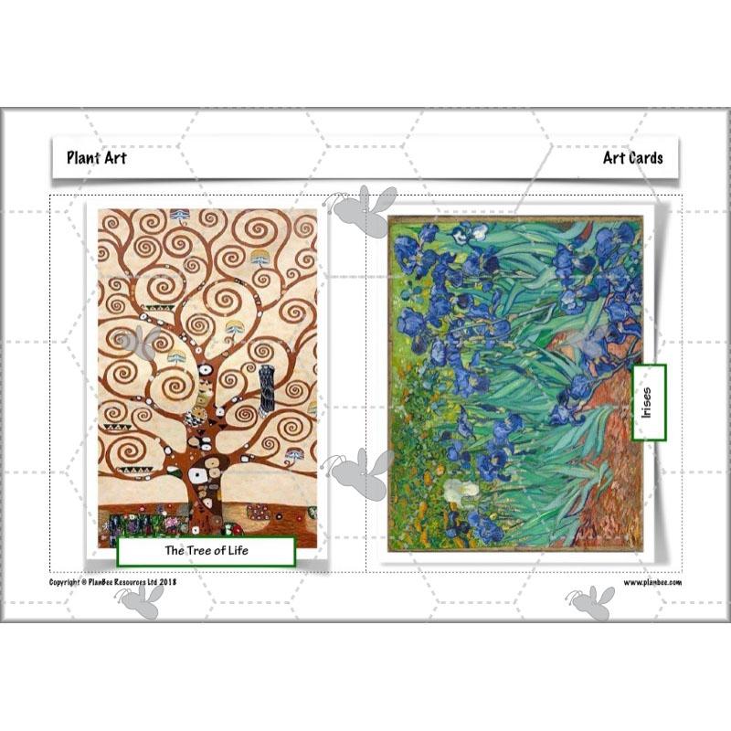PlanBee Plant Art Lessons Year 3 & Year 4 PlanBee Art scheme of work