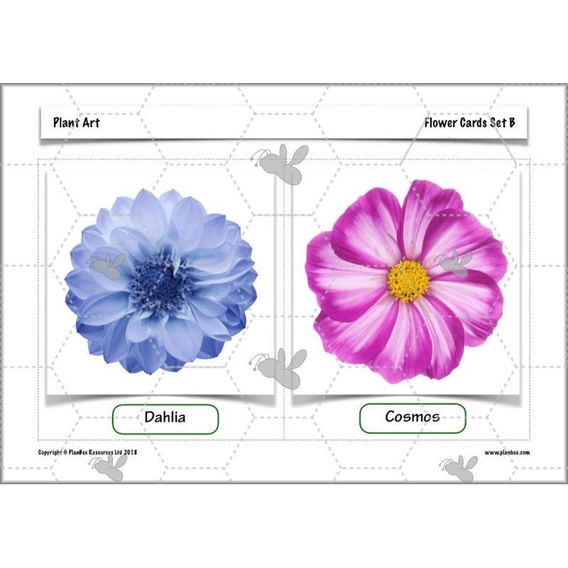 PlanBee Plant Art Lessons Year 3 & Year 4 PlanBee Art scheme of work