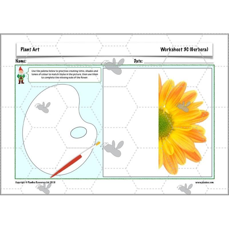 PlanBee Plant Art Lessons Year 3 & Year 4 PlanBee Art scheme of work