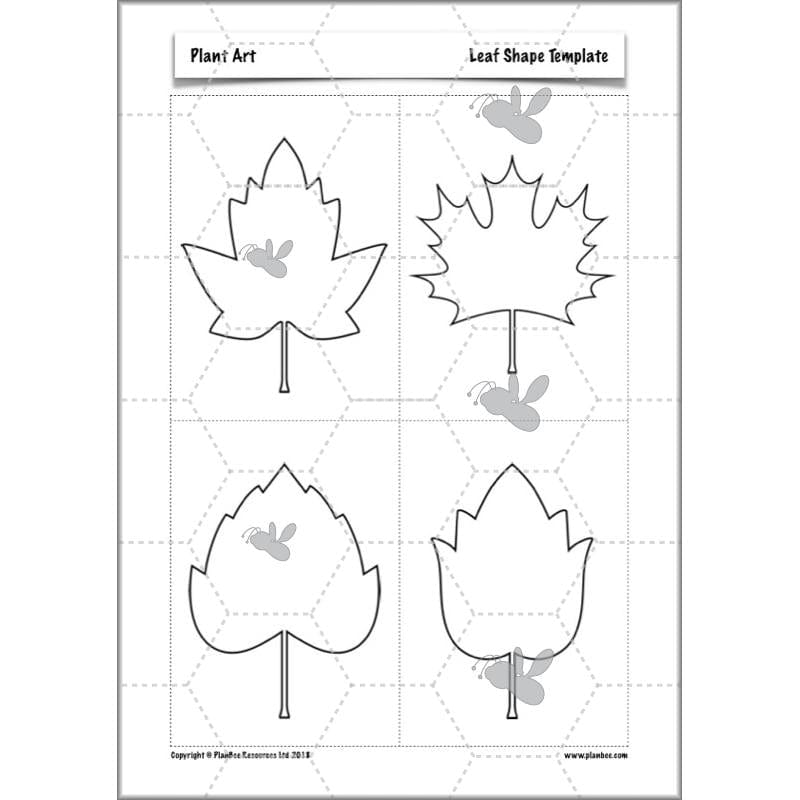 PlanBee Plant Art Lessons Year 3 & Year 4 PlanBee Art scheme of work