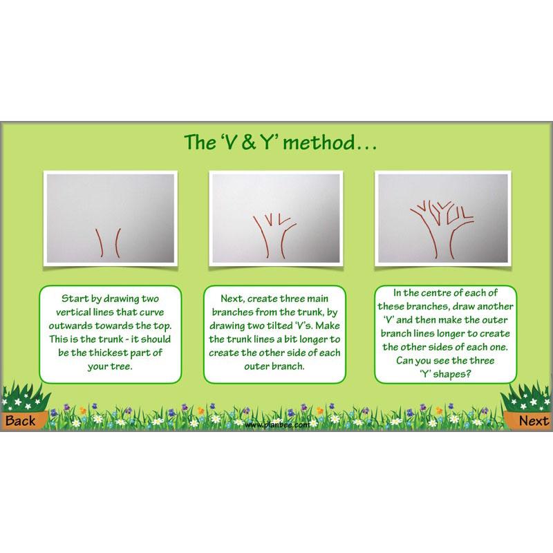 PlanBee Plant Art Lessons Year 3 & Year 4 PlanBee Art scheme of work