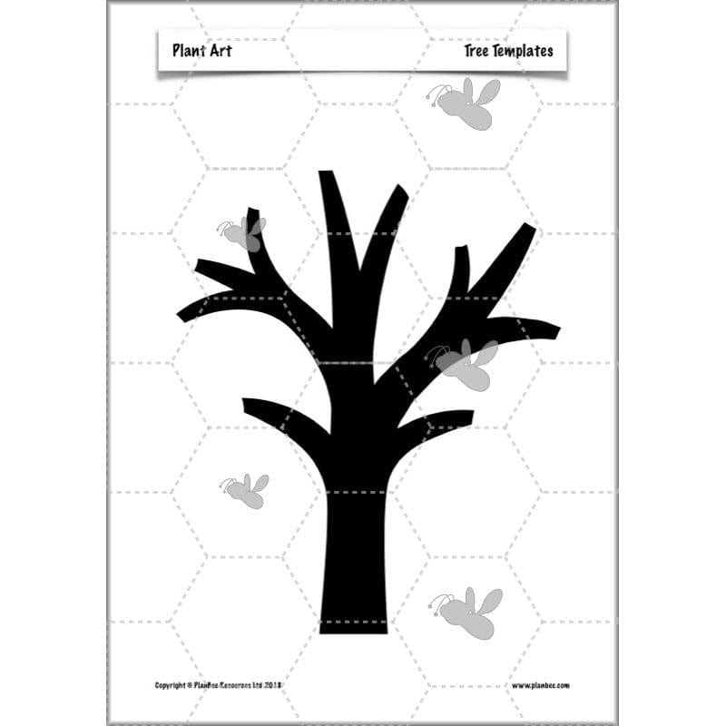 PlanBee Plant Art Lessons Year 3 & Year 4 PlanBee Art scheme of work