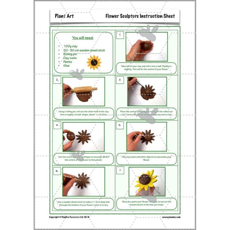 PlanBee Plant Art Lessons Year 3 & Year 4 PlanBee Art scheme of work
