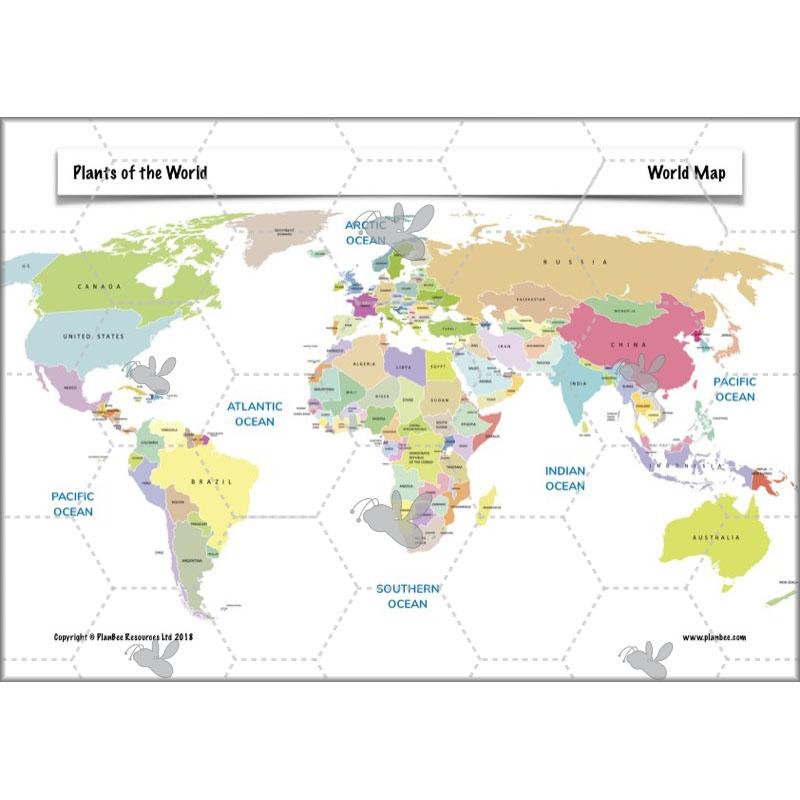 PlanBee Plants of the World: Plants KS2 Geography lessons by PlanBee