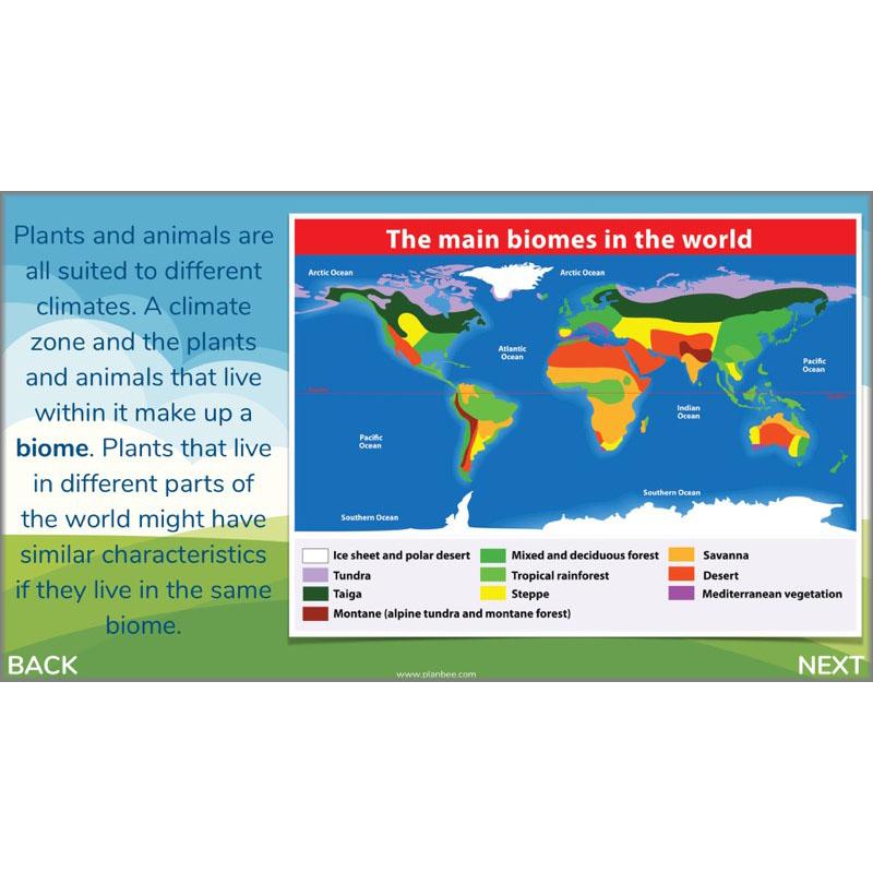 PlanBee Plants of the World: Plants KS2 Geography lessons by PlanBee