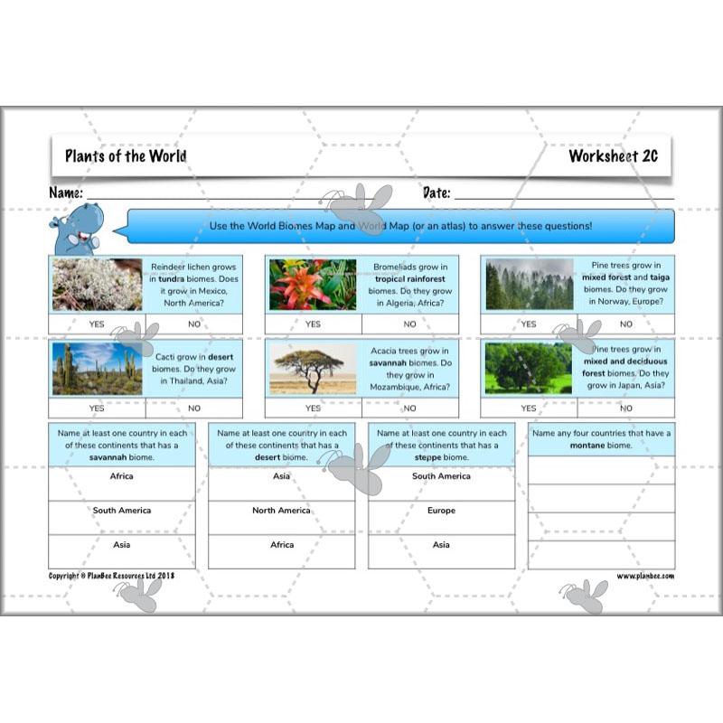 PlanBee Plants of the World: Plants KS2 Geography lessons by PlanBee