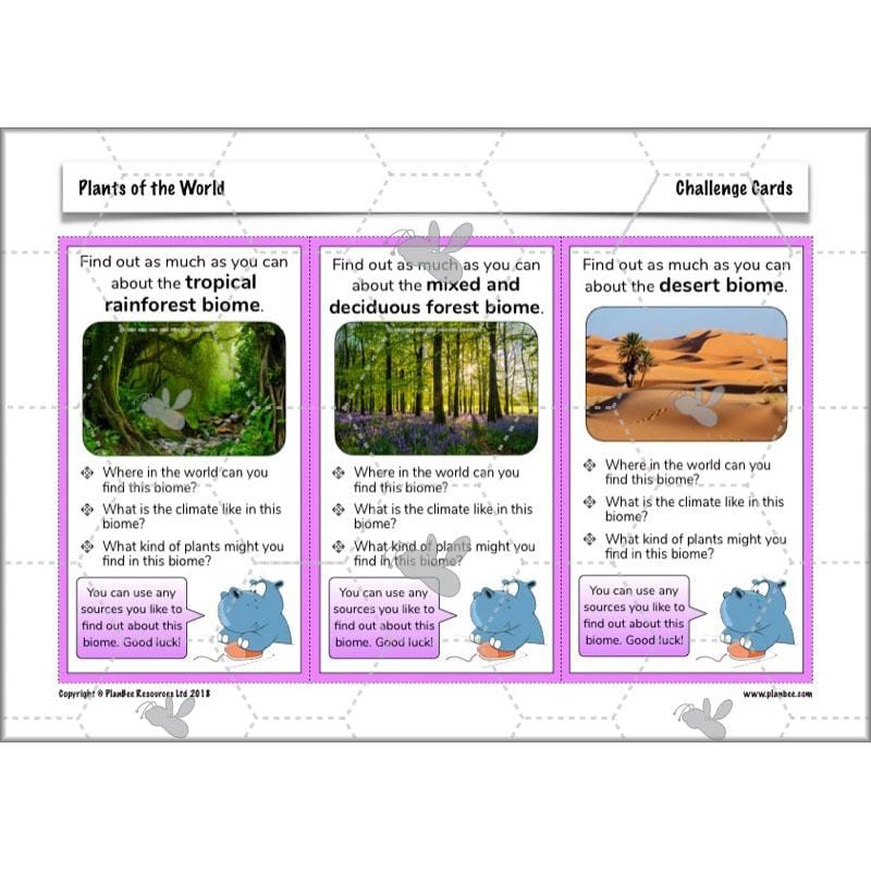 PlanBee Plants of the World: Plants KS2 Geography lessons by PlanBee