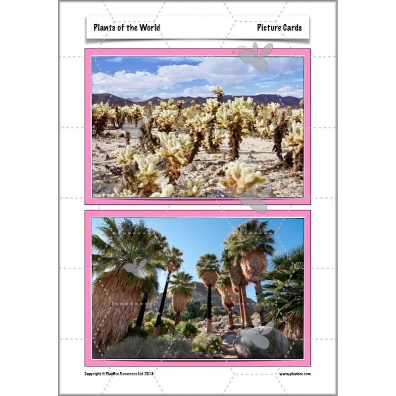 PlanBee Plants of the World: Plants KS2 Geography lessons by PlanBee
