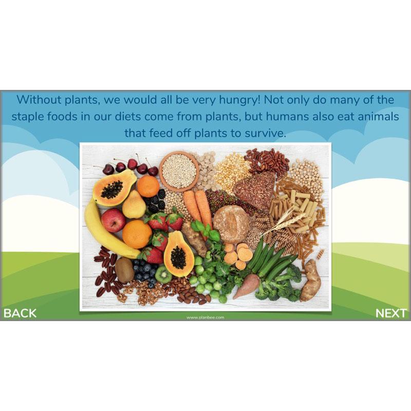 PlanBee Plants of the World: Plants KS2 Geography lessons by PlanBee