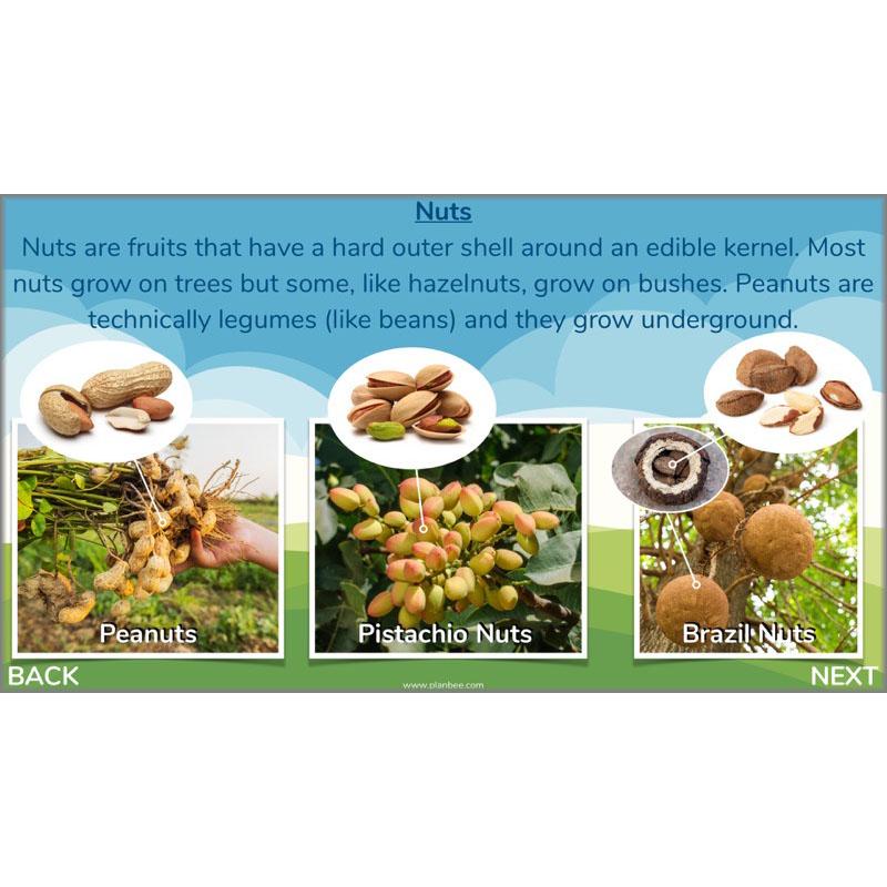PlanBee Plants of the World: Plants KS2 Geography lessons by PlanBee