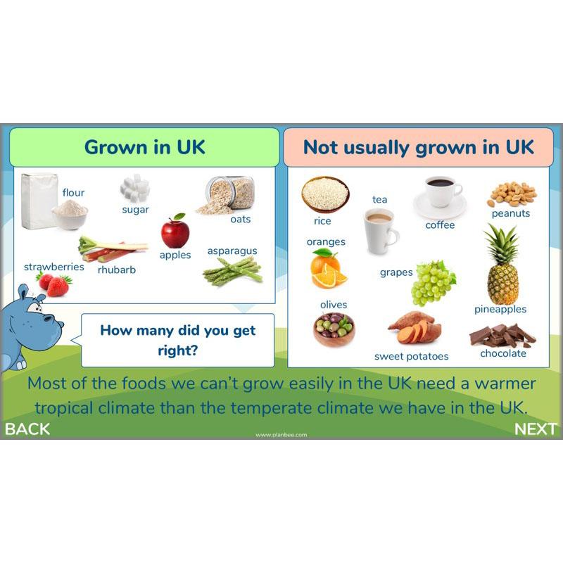 PlanBee Plants of the World: Plants KS2 Geography lessons by PlanBee