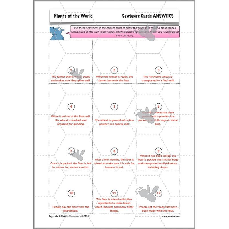 PlanBee Plants of the World: Plants KS2 Geography lessons by PlanBee