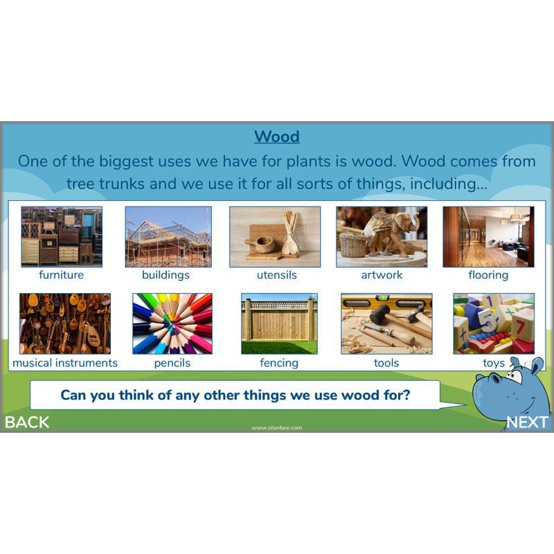 PlanBee Plants of the World: Plants KS2 Geography lessons by PlanBee