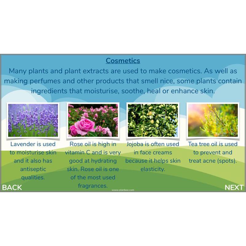 PlanBee Plants of the World: Plants KS2 Geography lessons by PlanBee