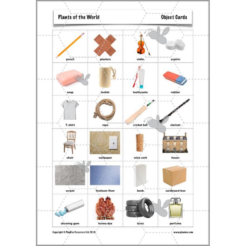 PlanBee Plants of the World: Plants KS2 Geography lessons by PlanBee