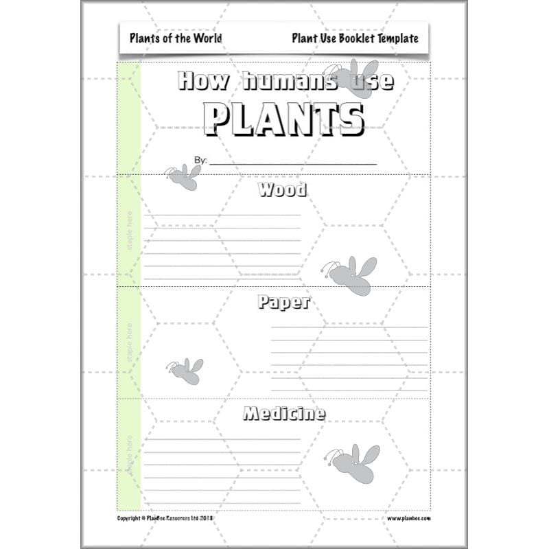 PlanBee Plants of the World: Plants KS2 Geography lessons by PlanBee