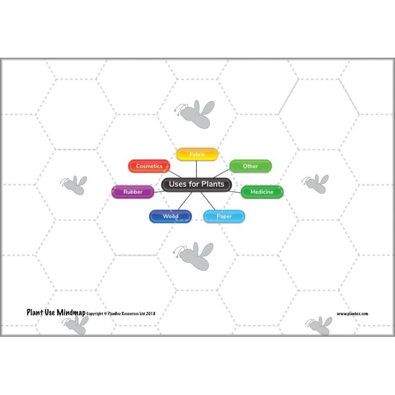 PlanBee Plants of the World: Plants KS2 Geography lessons by PlanBee