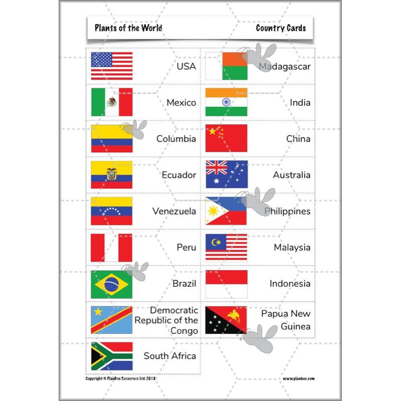 PlanBee Plants of the World: Plants KS2 Geography lessons by PlanBee