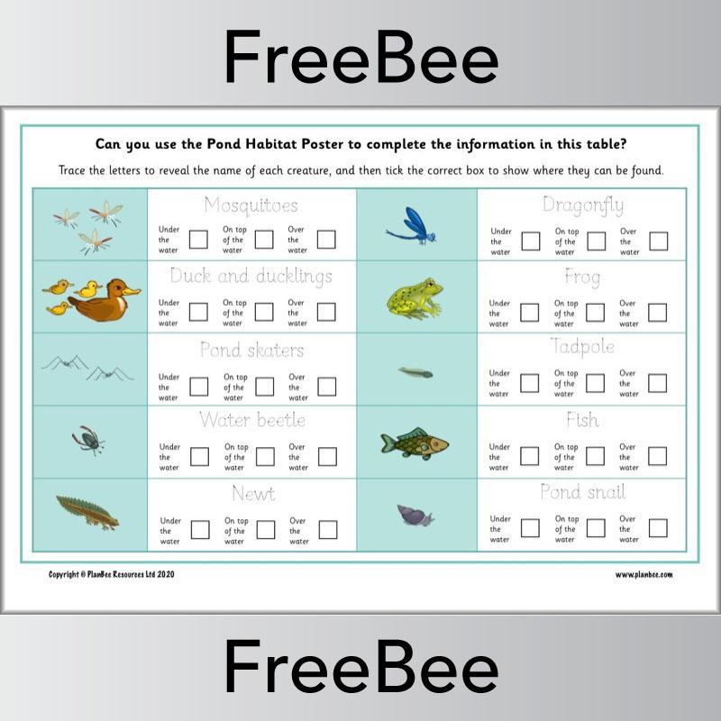 PlanBee Pond Habitat KS1 Poster and Worksheet by PlanBee