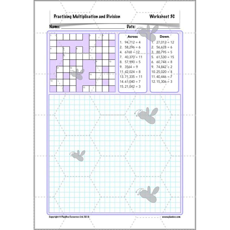 PlanBee Practising Multiplication & Division - Year 6 Maths Lesson Planning