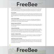 PlanBee Upper KS2 English Home Learning Activities for Year 5 & Year 6