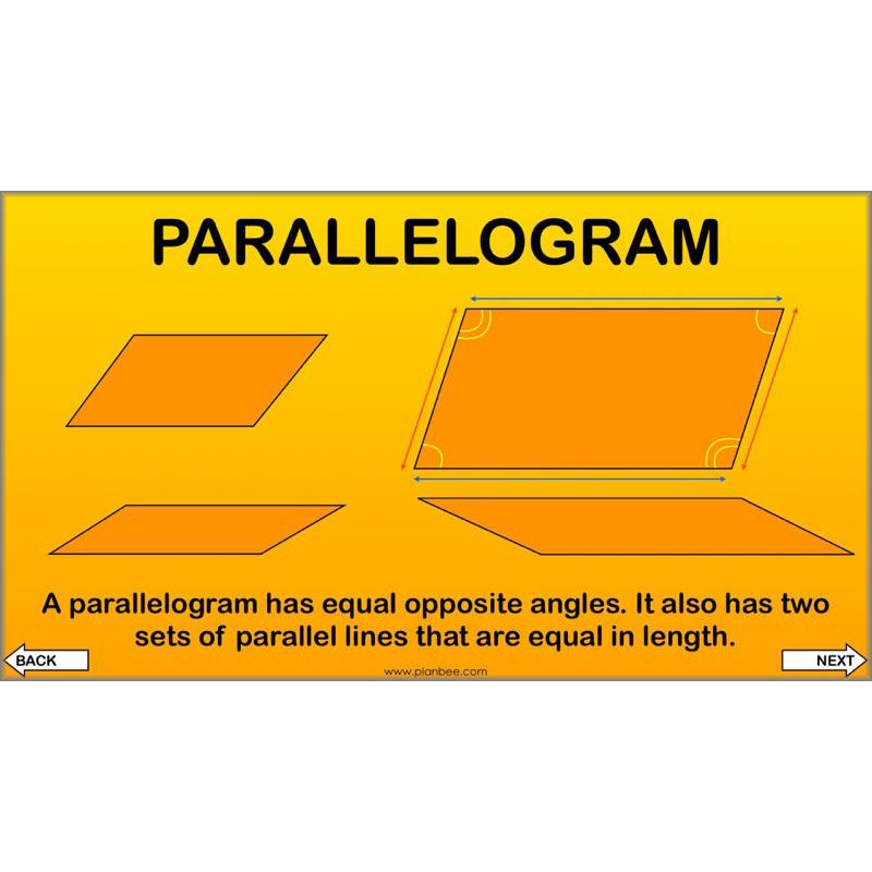 PlanBee Year 4 Properties of 2D Shapes KS2 Maths by PlanBee