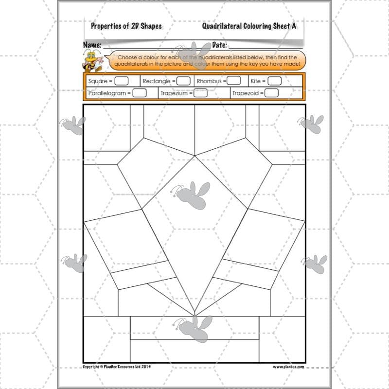 PlanBee Year 4 Properties of 2D Shapes KS2 Maths by PlanBee