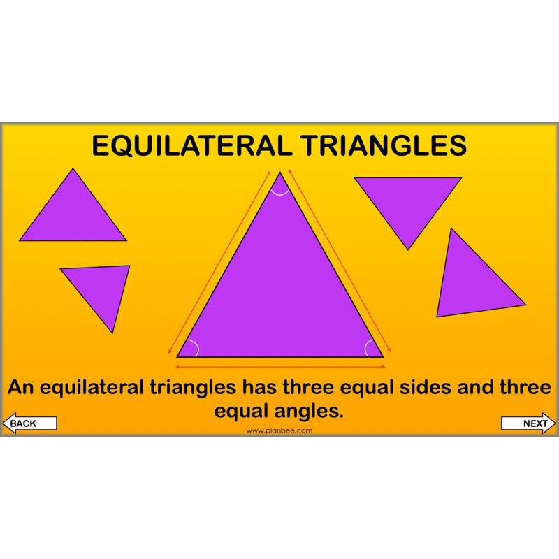 PlanBee Year 4 Properties of 2D Shapes KS2 Maths by PlanBee
