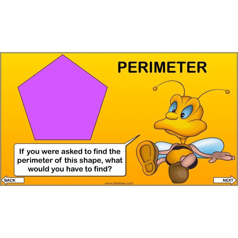 PlanBee Year 4 Properties of 2D Shapes KS2 Maths by PlanBee